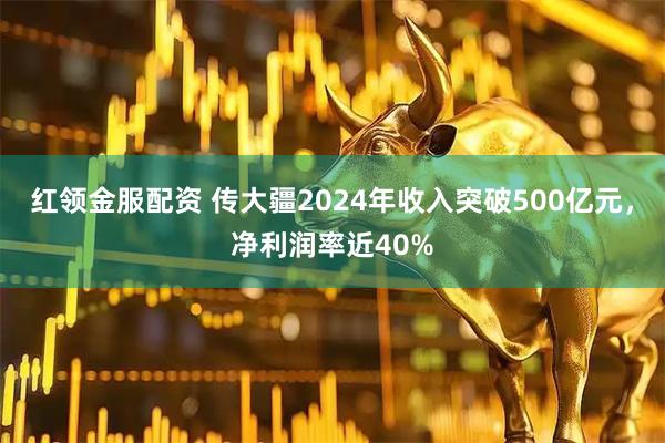 红领金服配资 传大疆2024年收入突破500亿元，净利润率近40%