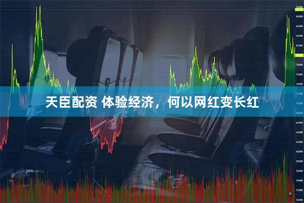 天臣配资 体验经济，何以网红变长红